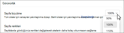 Sayfa yakınlaştırma düzeyleri açılır ekran görüntüsü.
