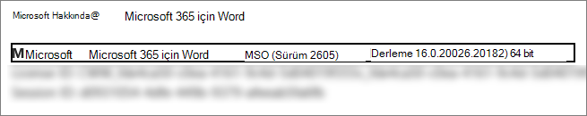 Word sürümünü, yapıyı ve bit sürümünü gösteren ekran görüntüsü.