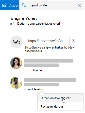Paylaşılan bir dosyanın Ayrıntılar bölmesindeki Paylaşım bölümünün ekran görüntüsü.