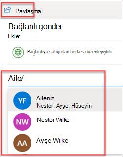 OneDrive Paylaşım penceresi