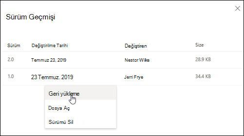 Sürüm Geçmişi bölmesi