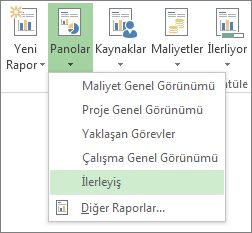 Rapor sekmesindeki Pano menüsü