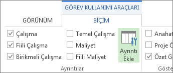 Kaynak Kullanımı Araçları Biçim sekmesi, Ayrıntıları Ekle düğmesi