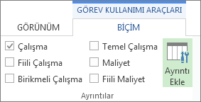 Görev Kullanımı Araçları Biçim sekmesi, Ayrıntıları Ekle düğmesi