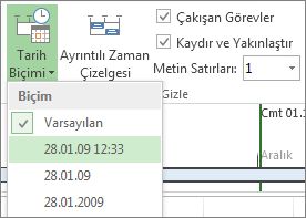 Timeline Date Format button and menu in Project