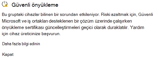 Güvenli Önyükleme sertifika güncelleştirmelerinin duraklatıldığını belirten Windows Güvenliği uyarının ekran görüntüsü