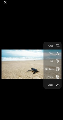 Çıkartmalar camer 1