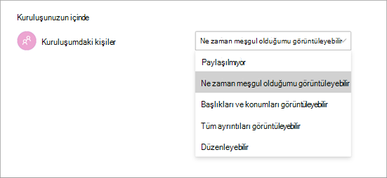 Teams'te bir takvim paylaşırken farklı erişim izinlerini gösteren ekran görüntüsü.