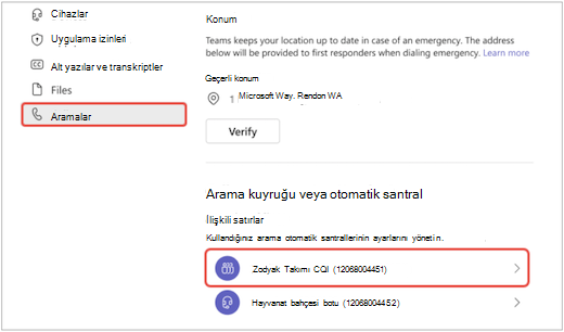 Teams'de Ayarlar menüsündeki bir ekran