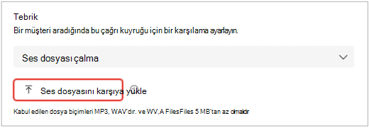 ayarları gösteren Teams kullanıcı arabirimi ekranı