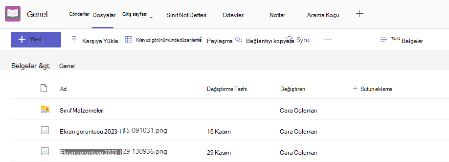 Dosyalar