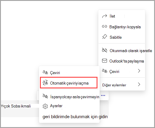 Otomatik çevirileri açmak için diğer seçenekleri belirleyin