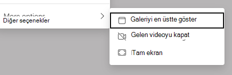 Görüntüleme seçenekleri