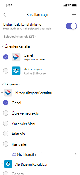 El Telsizi'nde kanal seç ekranı.
