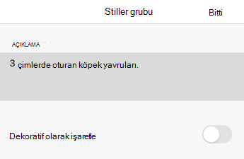 iOS için Excel'de Alternatif Metin iletişim kutusu.