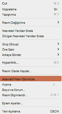 Mac için PowerPoint bağlam menüsündeki Alternatif Metni Görüntüle seçeneği.