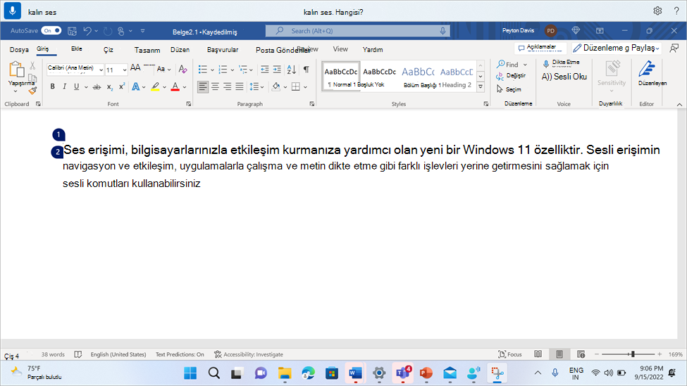 WordWord document showing the voice access command Kalın.