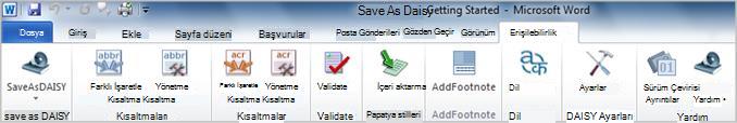 Save as DAISY Erişilebilirlik sekmesi