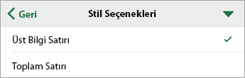 Üst Bilgi Satırının seçili olduğu Stil Seçenekleri komut çubuğu