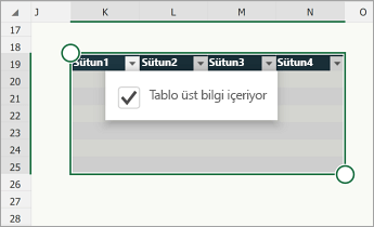 Tablom üst bilgi satırı içeriyor onay kutusu seçili durumdaki tablo