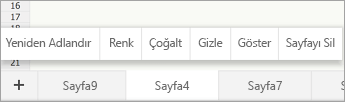 Yeniden Adlandır komut çubuğunun gösterildiği seçili sayfa sekmesi