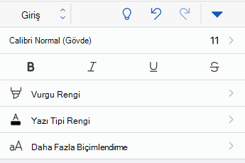 Yazı tipi biçimlendirme seçenekleri WordWord for iOS.