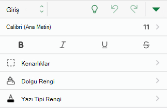 iOS için Excel'de yazı tipi biçimlendirme seçenekleri