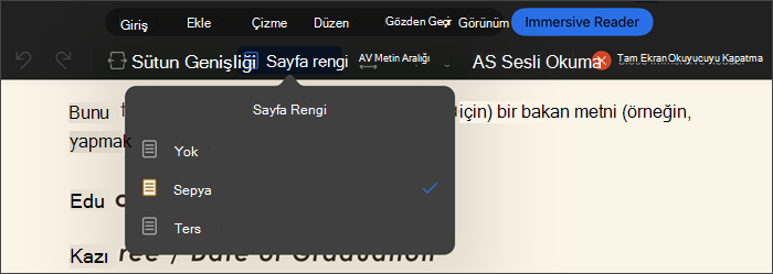 tam ekran okuyucunun sayfa rengi seçili ekran görüntüsü, seçenekler yok, sepya, ters