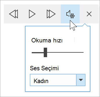 Tam ekran okuyucu ses seçenekleri araç çubuğunun ekran görüntüsü. Fare ayarların üzerine geldiğinde okuma hızı için bir geçiş ve ses seçimi için açılır menü belirir
