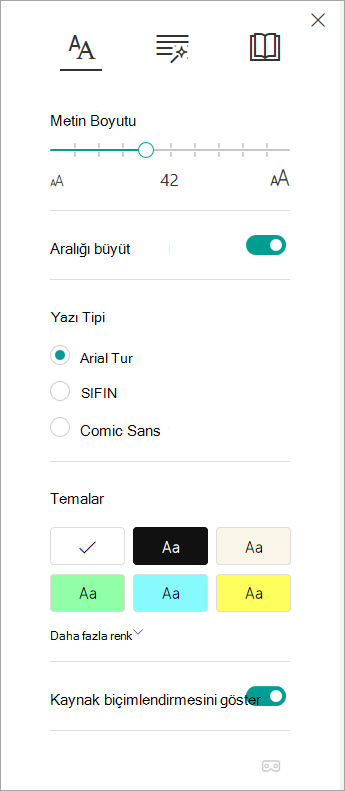 Tam Ekran Okuyucu'da metin seçenekleri.