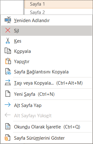 Windows için OneNote'ta sayfayı silme iletişim kutusu