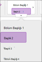 Mac için OneNote’ta başlık stili menüsü.