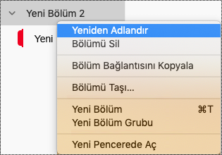 Mac için OneNote’ta bölüm grubunu yeniden adlandırma