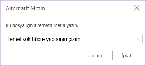 Tiçin alternatif metin iletişim kutusu Web için OneNote Web için OneNote