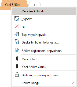 Yeniden Adlandır seçeneğinin seçili olduğu bağlam menüsünün ekran görüntüsü.