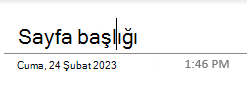 Windows 10 için OneNote'ta bir sayfadaki sayfa başlığı metin alanları.