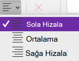 The Paragraph Alignment menu in Mac için Mac için OneNoteMac için OneNote.
