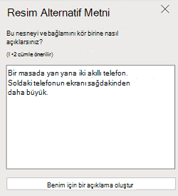 The Picture Alternatif Text pane in Web için PowerPointWeb için PowerPoint için PowerPoint.
