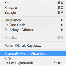 Mac için PowerPoint’teki bağlam menüsünde Alternatif Metni Düzenle seçeneği
