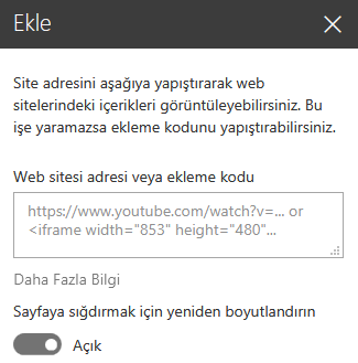 SharePoint’te Kod ekle iletişim kutusunun ekran görüntüsü.