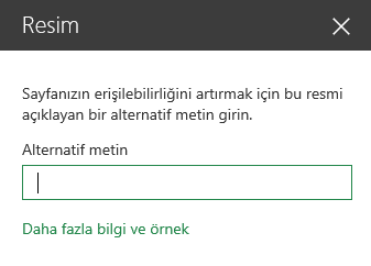 SharePoint’te Resim alternatif metninin ekran görüntüsü.