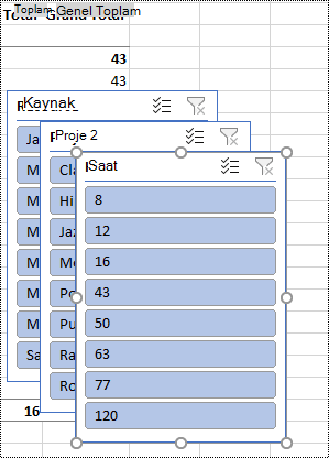 Excel'de çalışma sayfasında dilimleyici filtreleri.