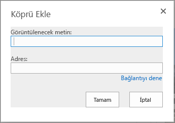 Köprü Ekle iletişim kutusunun ekran görüntüsü, bağlantının adı için görüntülenecek metin alanını ve bağlantılar URL'si için bir Adres alanı sağlar. Bağlantının çalıştığından emin olmak için Bağlantıyı dene seçeneğini belirleyin.