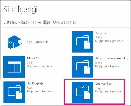 SharePoint Online’daki basit bir sitede Site İçeriği sayfası, Site Varlıkları kutucuğu vurgulanıyor