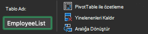 Mac için ExcelMac için Excel'deki Tablo Adı alanı