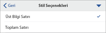 Üst Bilgi Satırı seçili olarak genişletilmiş Stil Seçenekleri komutu