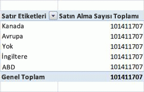 PivotTable örneği