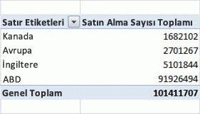 PivotTable örneği