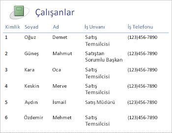 Tablo düzeninde çalışanlar raporu