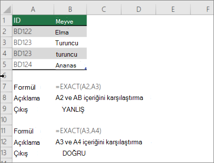 Bir hücreyi başka bir hücreyle karşılaştırmak üzere ÖZDEŞ işlevinin kullanıldığı örnek